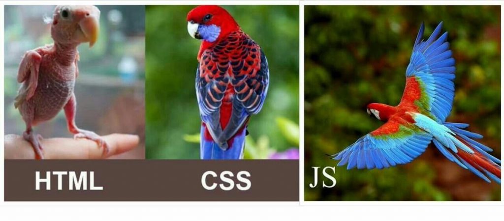 ілюстрація відмінностей html, css, js